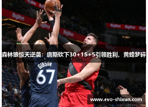 森林狼惊天逆袭：唐斯砍下30+15+5引领胜利，黄蜂梦碎